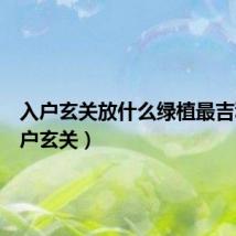 入户玄关放什么绿植最吉利(入户玄关)