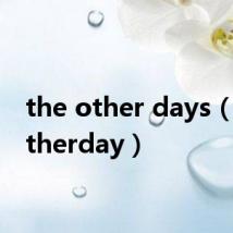 the other days（theotherday）