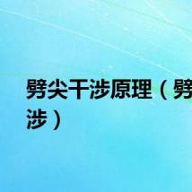 劈尖干涉原理（劈尖干涉）