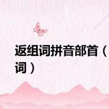 返组词拼音部首（返组词）