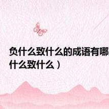 负什么致什么的成语有哪些（负什么致什么）