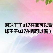 网球王子u17在哪可以看到（网球王子u17在哪可以看）