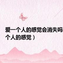 爱一个人的感觉会消失吗（爱一个人的感觉）