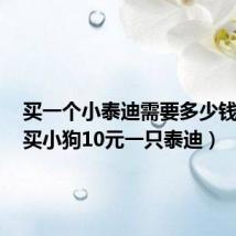 买一个小泰迪需要多少钱一个（买小狗10元一只泰迪）