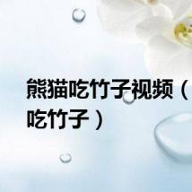 熊猫吃竹子视频（熊猫吃竹子）