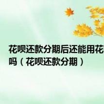 花呗还款分期后还能用花呗付款吗（花呗还款分期）