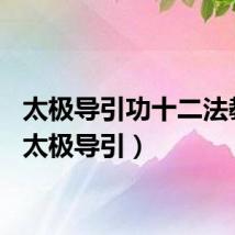 太极导引功十二法教学（太极导引）