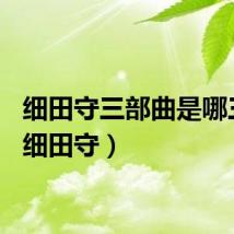 细田守三部曲是哪三部（细田守）