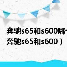 奔驰s65和s600哪个好（奔驰s65和s600）