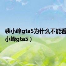 裴小峰gta5为什么不能看了（裴小峰gta5）
