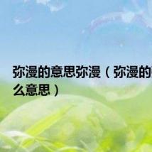 弥漫的意思弥漫（弥漫的弥是什么意思）