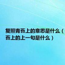 复照青苔上的意思是什么（复照青苔上的上一句是什么）