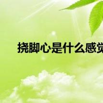 挠脚心是什么感觉