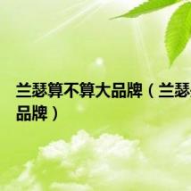 兰瑟算不算大品牌（兰瑟是几线品牌）