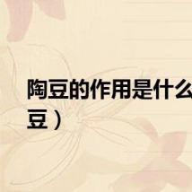 陶豆的作用是什么（陶豆）