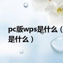 pc版wps是什么（wps是什么）