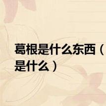 葛根是什么东西（葛根是什么）