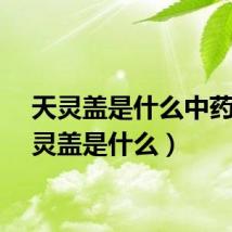 天灵盖是什么中药（天灵盖是什么）