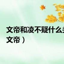 文帝和凌不疑什么关系（文帝）