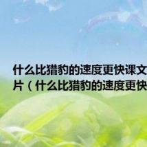 什么比猎豹的速度更快课文笔记图片(什么比猎豹的速度更快课文)