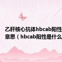 乙肝核心抗体hbcab阳性是什么意思(hbcab阳性是什么意思)