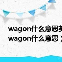 wagon什么意思英语(wagon什么意思)