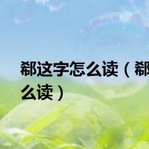 郗这字怎么读（郗菁怎么读）