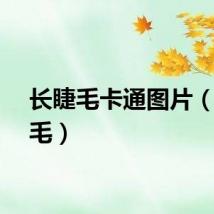 长睫毛卡通图片（长睫毛）