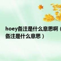 hoey备注是什么意思啊(hoey备注是什么意思)