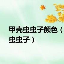 甲壳虫虫子颜色（甲壳虫虫子）