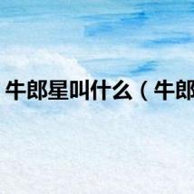 牛郎星叫什么（牛郎星）
