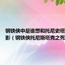 钢铁侠中是谁想和托尼史塔克拍合影(钢铁侠托尼斯塔克之死)