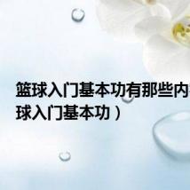 篮球入门基本功有那些内容（篮球入门基本功）