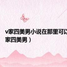 v家四美男小说在那里可以看（v家四美男）