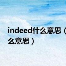 indeed什么意思（in什么意思）