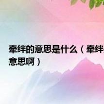 牵绊的意思是什么(牵绊是什么意思啊)