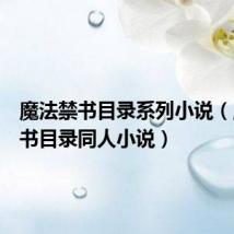 魔法禁书目录系列小说（魔法禁书目录同人小说）
