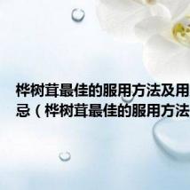 桦树茸最佳的服用方法及用量及禁忌（桦树茸最佳的服用方法）