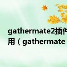 gathermate2插件怎么用(gathermate)