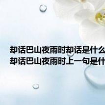 却话巴山夜雨时却话是什么意思（却话巴山夜雨时上一句是什么）