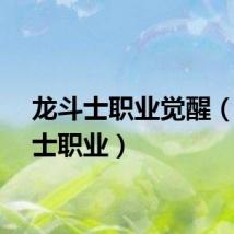 龙斗士职业觉醒（龙斗士职业）