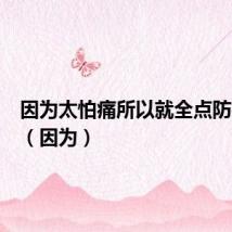 因为太怕痛所以就全点防御力了(因为)
