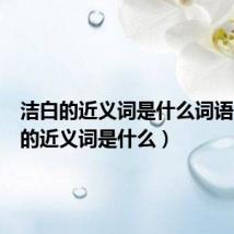 洁白的近义词是什么词语(洁白的近义词是什么)