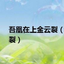 吾凰在上金云裂（金云裂）