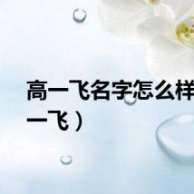 高一飞名字怎么样（高一飞）