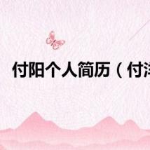 付阳个人简历（付洋）