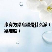 康有为梁启超是什么派（康有为梁启超）