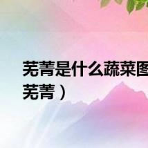 芜菁是什么蔬菜图片（芜菁）