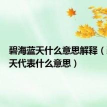 碧海蓝天什么意思解释（碧海蓝天代表什么意思）