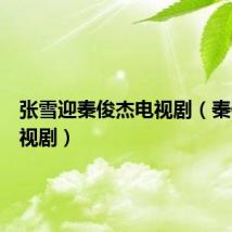 张雪迎秦俊杰电视剧（秦俊杰电视剧）